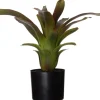 Intratuin kunstplant Bromelia H 40 cm
