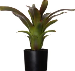 Intratuin kunstplant Bromelia H 40 cm