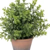 Intratuin kunstplant Buxus D 18 H 30 cm