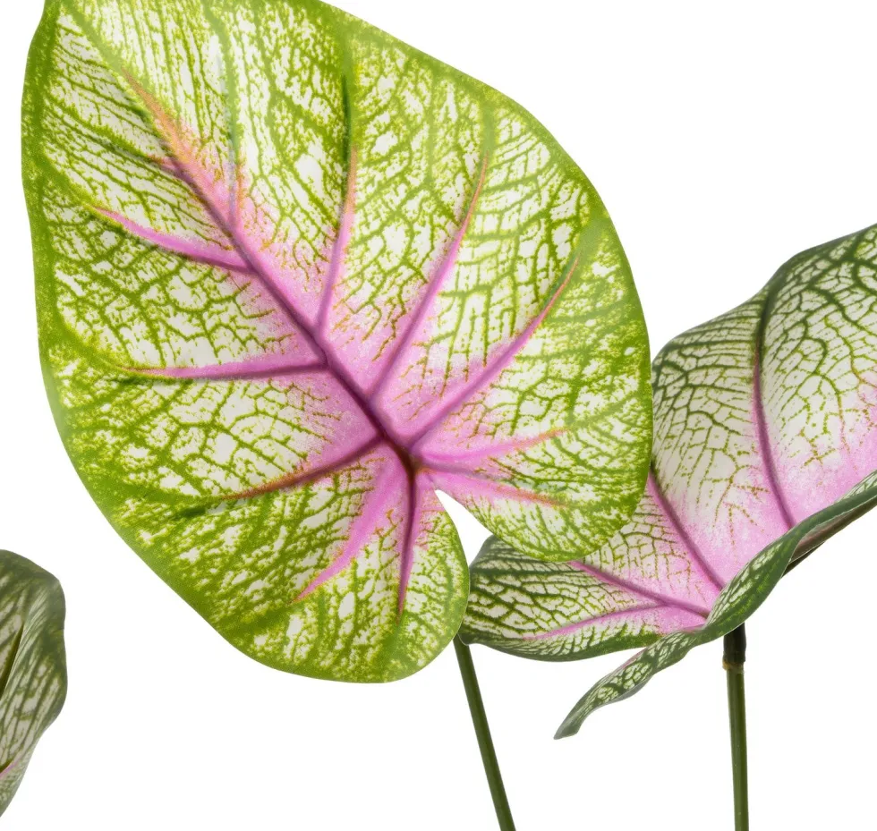Intratuin kunstplant Caladium roze / groen D 12,9 H 60 cm