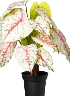 Intratuin kunstplant Caladium wit / roze/ groen D 15 H 40 cm