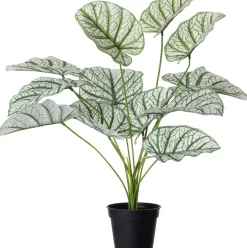 Intratuin kunstplant Caladium witbont H 60 cm