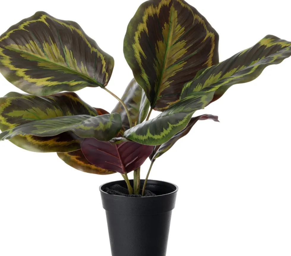 Intratuin kunstplant Calathea H 38 cm