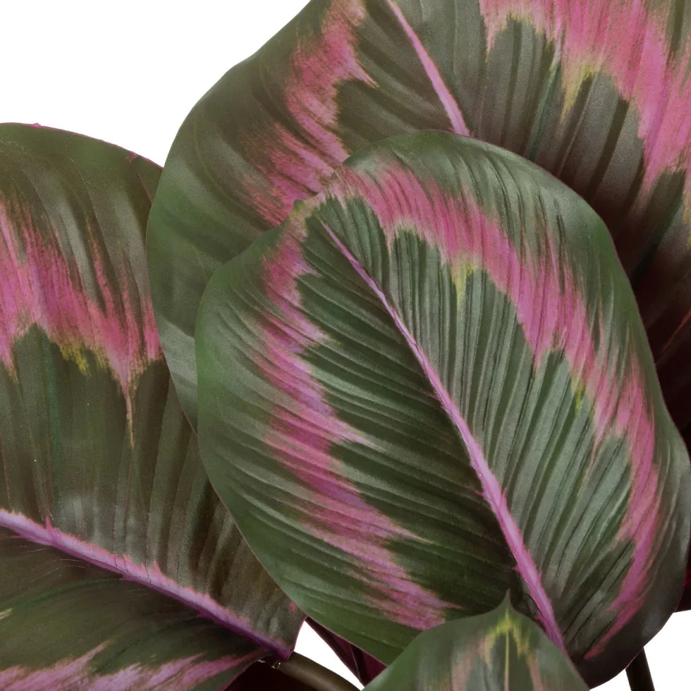 Intratuin kunstplant Calathea rood / groen D 12 H 45 cm