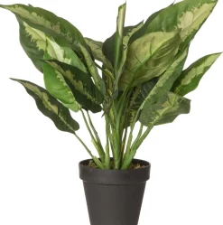 Intratuin kunstplant Calathea D 12.5 H 50 cm