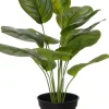 Intratuin kunstplant Calathea H 39 cm