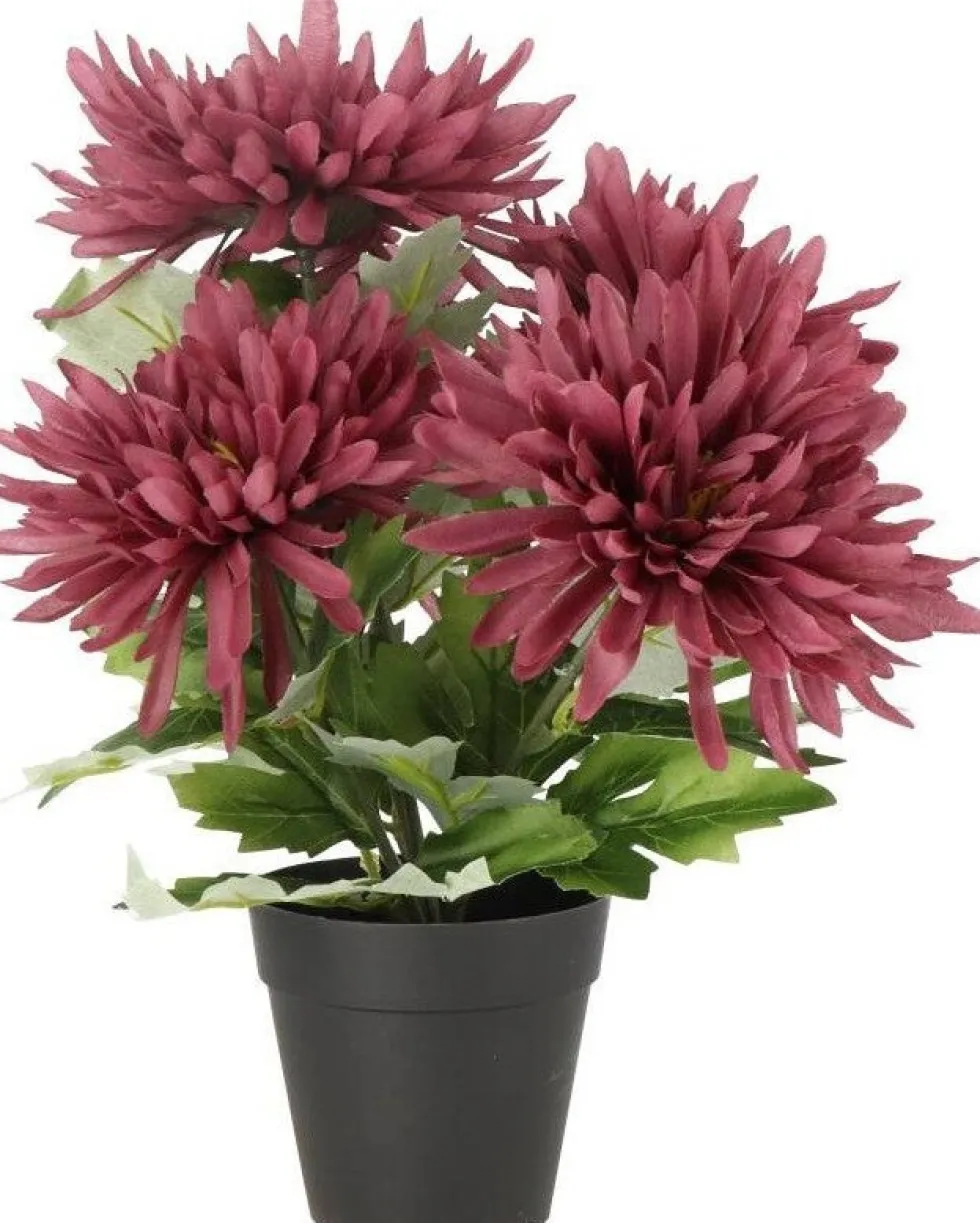 Intratuin kunstplant Chrysant paars D 9 H 30 cm