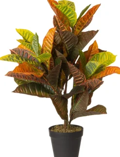 Intratuin kunstplant Croton groen / rood / geel H 75 cm
