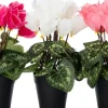 Intratuin kunstplant Cyclaam lichtroze D 9 H 28 cm