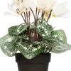 Intratuin kunstplant Cyclaam roze D 9 H 28 cm