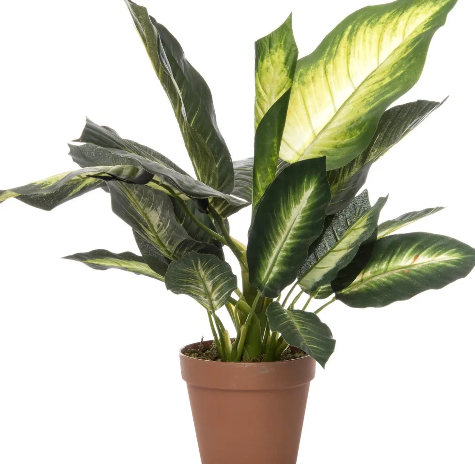 Intratuin kunstplant Dieffenbachia groen / geel D 12,5 H 55 cm