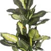 Intratuin kunstplant Dieffenbachia groen / geel D 20 H 110 cm