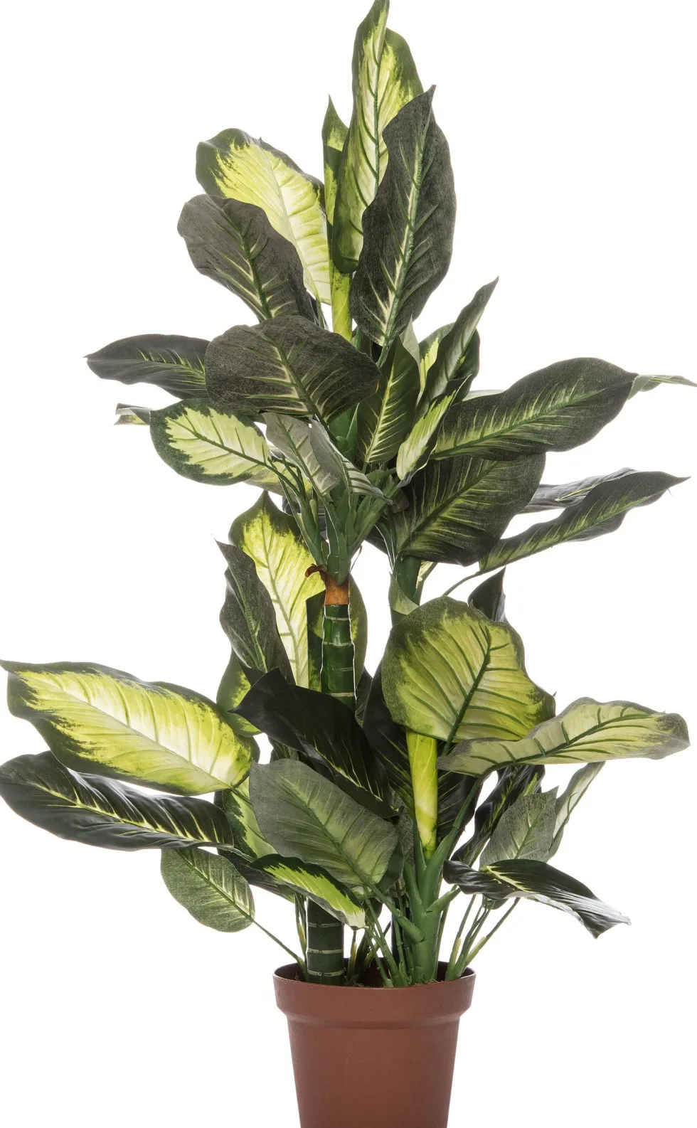 Intratuin kunstplant Dieffenbachia groen / geel D 20 H 110 cm