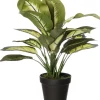 Intratuin kunstplant Dieffenbachia D 12,5 H 50 cm