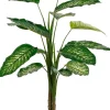 Intratuin kunstplant Dieffenbachia H 100 cm