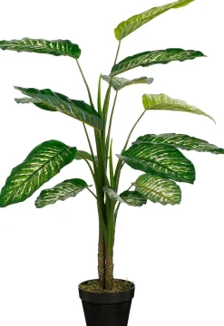 Intratuin kunstplant Dieffenbachia H 100 cm