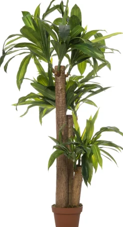 Intratuin kunstplant Drakenbloedboom D 20 H 140 cm