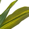 Intratuin kunstplant Drakenbloedboom H 55 cm