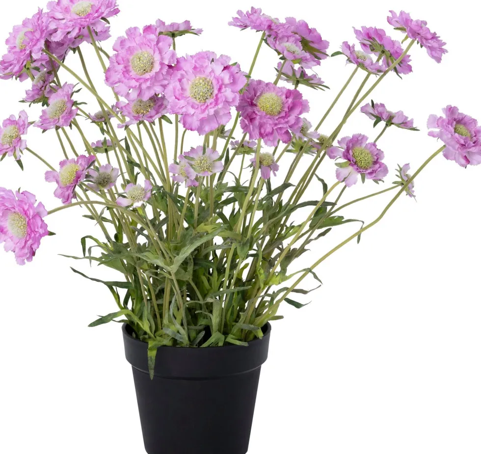Intratuin kunstplant Duifkruid roze D 20 H 62 cm