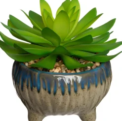 Intratuin kunstplant Echeveria H 12 cm