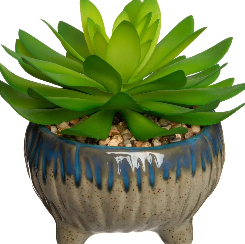 Intratuin kunstplant Echeveria H 12 cm
