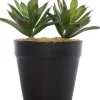 Intratuin kunstplant Echeveria H 11,5 cm
