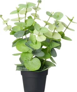 Intratuin kunstplant Eucalyptus lichtgroen D 9 H 38 cm