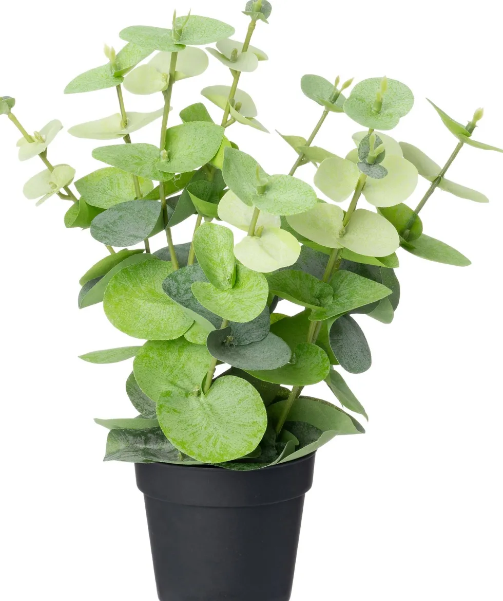 Intratuin kunstplant Eucalyptus lichtgroen D 9 H 38 cm