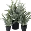 Intratuin kunstplant Eucalyptus grijsgroen D 12,5 H 19 cm