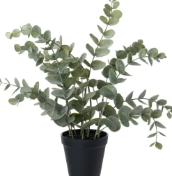 Intratuin kunstplant Eucalyptus grijsgroen D 11 H 43 cm