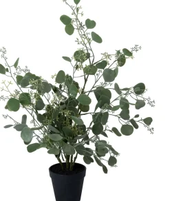 Intratuin kunstplant Eucalyptus H 62 cm