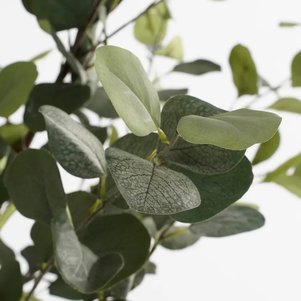 Intratuin kunstplant Eucalyptus H 95 cm