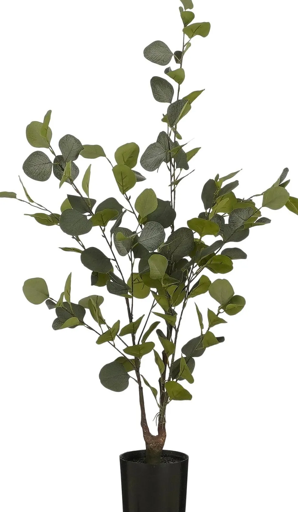 Intratuin kunstplant Eucalyptus H 95 cm