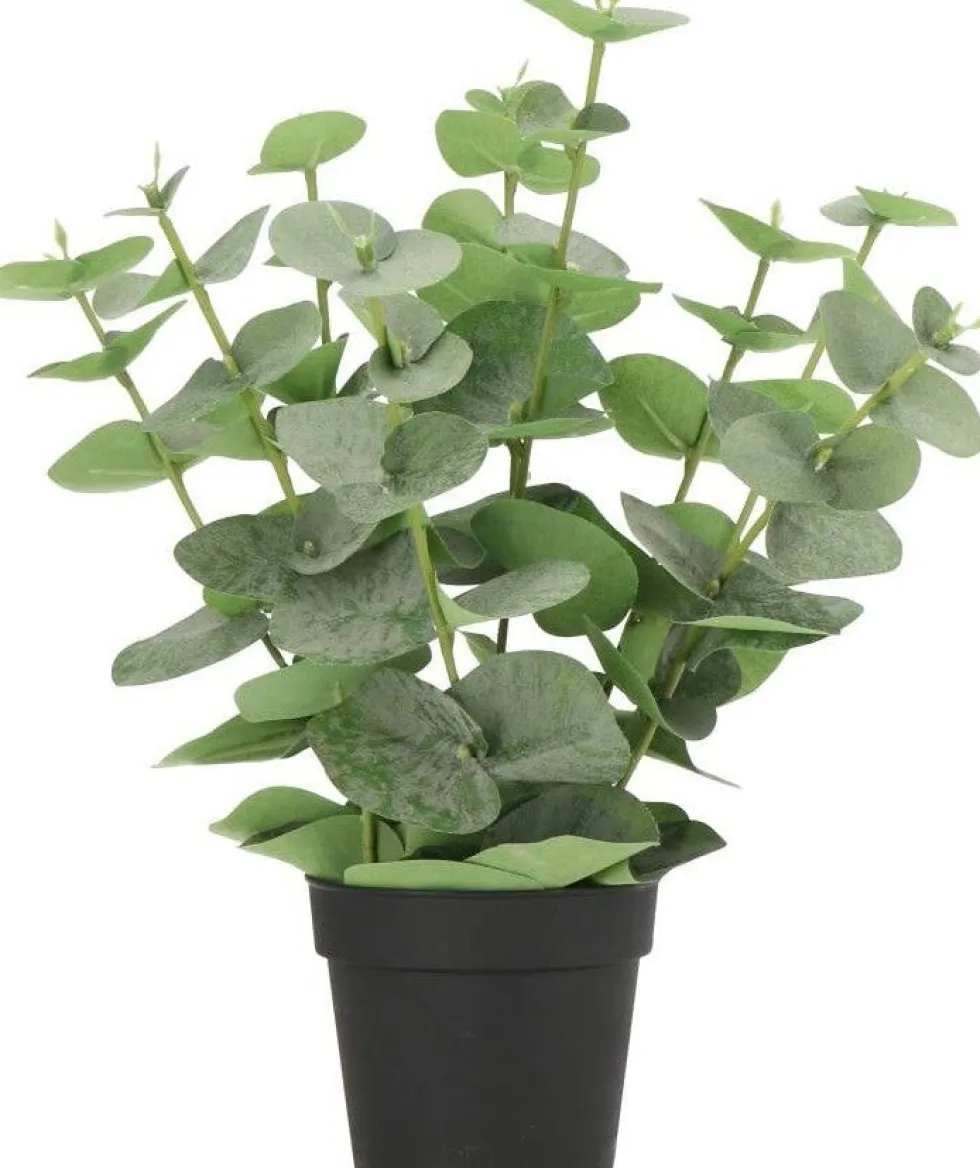 Intratuin kunstplant Eucalyptus donkergroen D 9 H 38 cm
