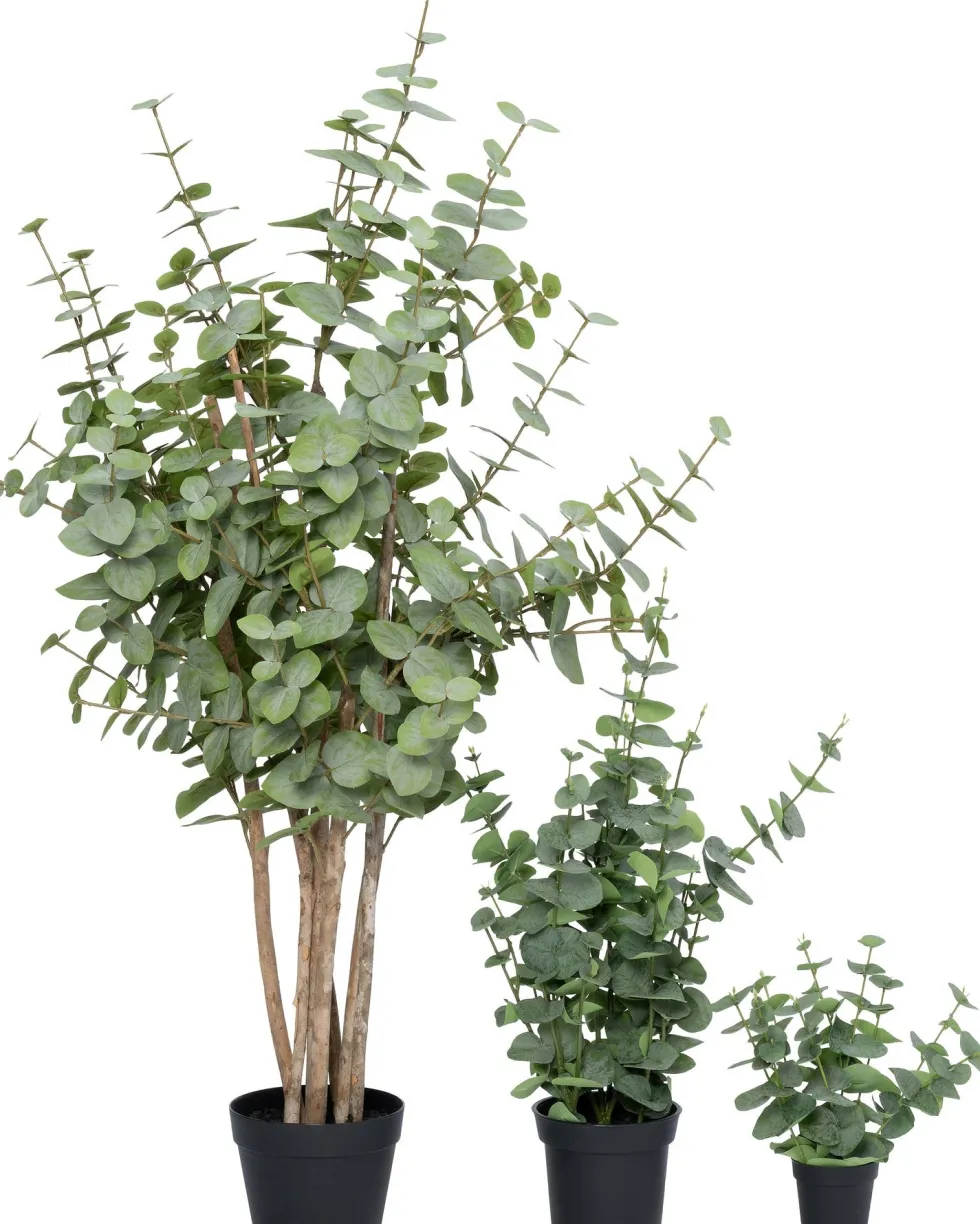 Intratuin kunstplant Eucalyptus donkergroen D 15 H 67 cm