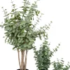 Intratuin kunstplant Eucalyptus donkergroen D 17 H 125 cm