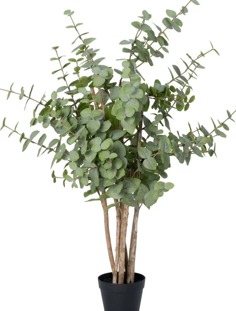 Intratuin kunstplant Eucalyptus donkergroen D 17 H 125 cm