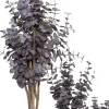 Intratuin kunstplant Eucalyptus paars D 17 H 55 cm
