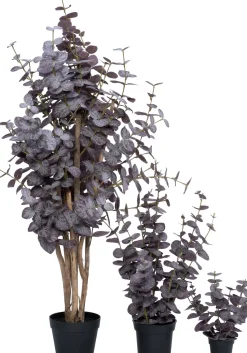 Intratuin kunstplant Eucalyptus paars D 15 H 67 cm