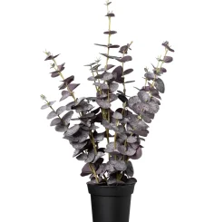Intratuin kunstplant Eucalyptus paars D 15 H 67 cm