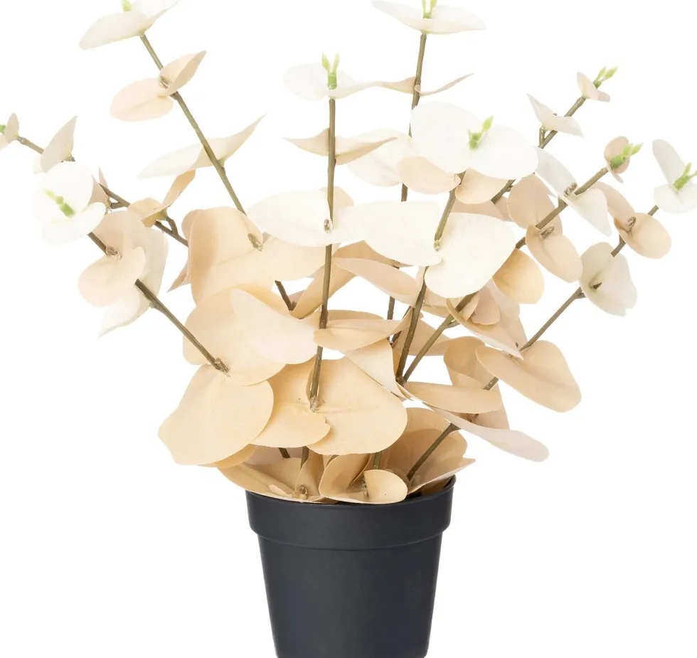 Intratuin kunstplant Eucalyptus crème D 9 H 20 cm