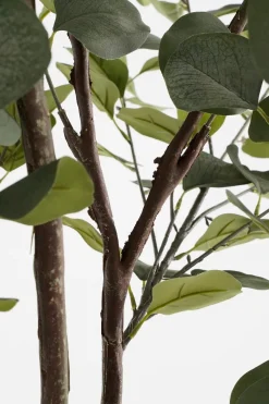 Intratuin kunstplant Eucalyptus H 180 cm