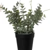 Intratuin kunstplant Eucalyptus H 23 cm