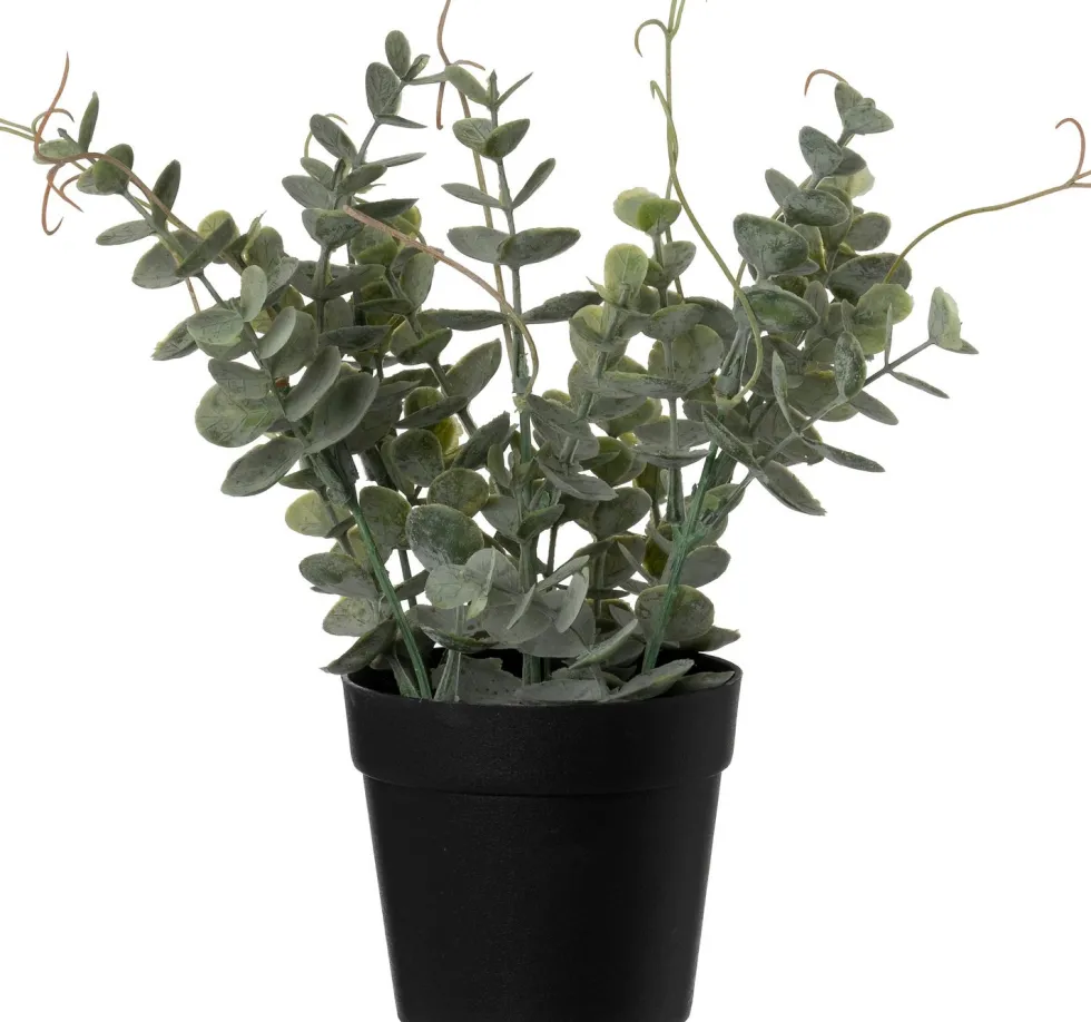 Intratuin kunstplant Eucalyptus H 23 cm