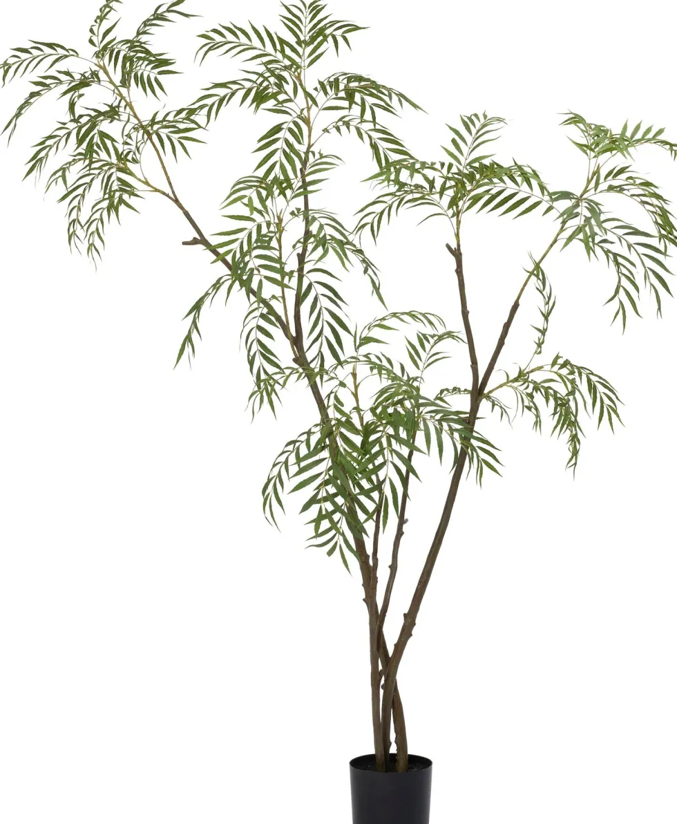 Intratuin kunstplant Fluweelboom D 19,5 H 210 cm