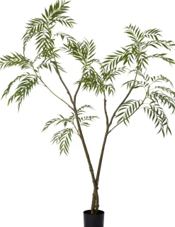 Intratuin kunstplant Fluweelboom D 17 H 180 cm