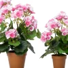 Intratuin kunstplant Geranium roze D 8,5 H 34 cm