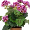 Intratuin kunstplant Geranium paars D 8,5 H 34 cm