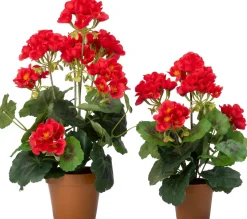 Intratuin kunstplant Geranium rood D 12 H 43 cm