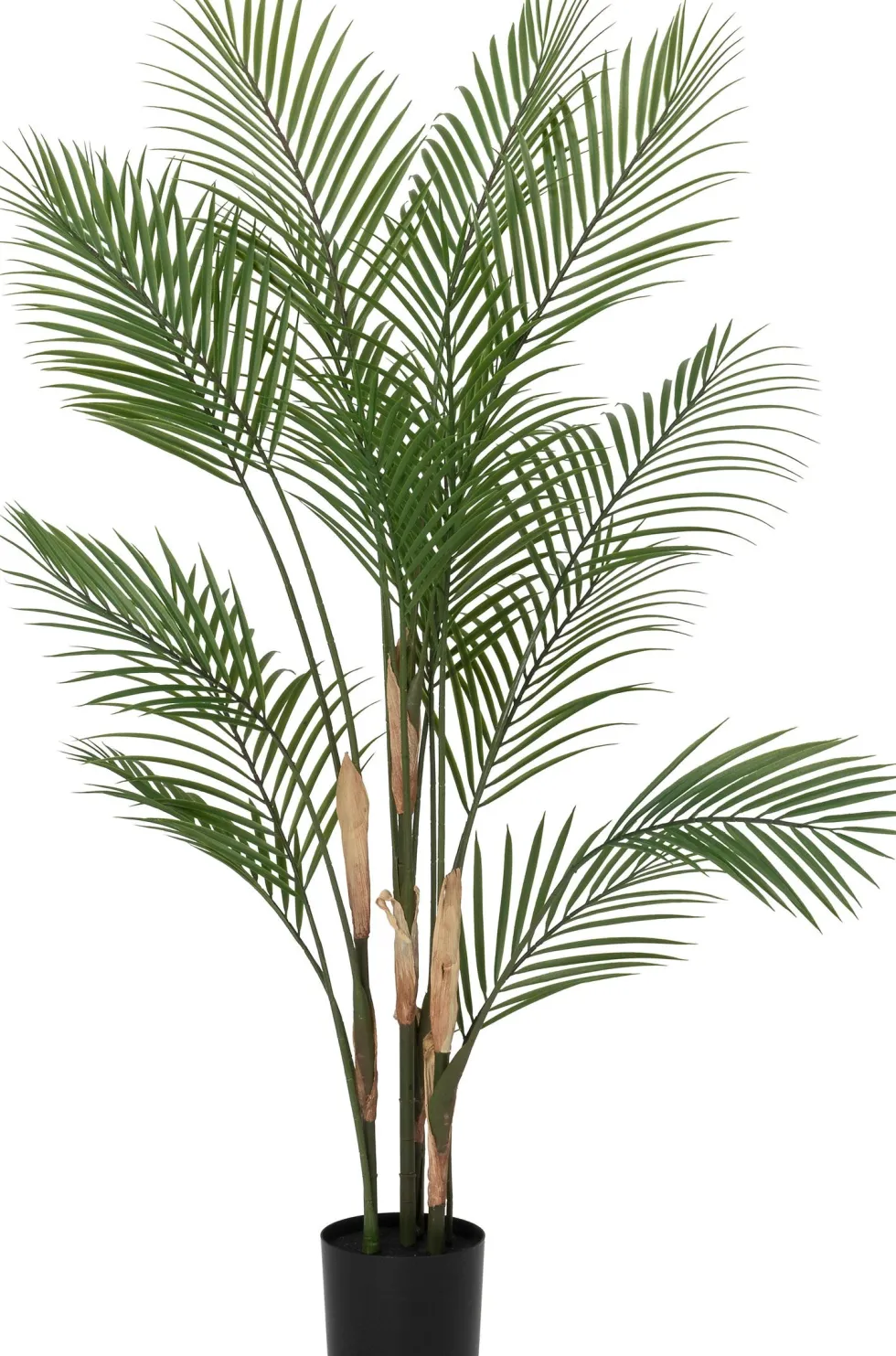 Intratuin kunstplant Goudpalm D 15 H 120 cm